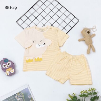 BỘ SƠ SINH SBH19